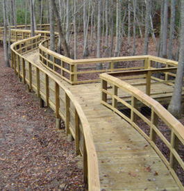 Treated Timber